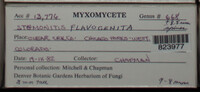 Image Associated With the Occurence